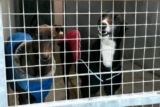 11007424 10204803572386962 601809736 n1