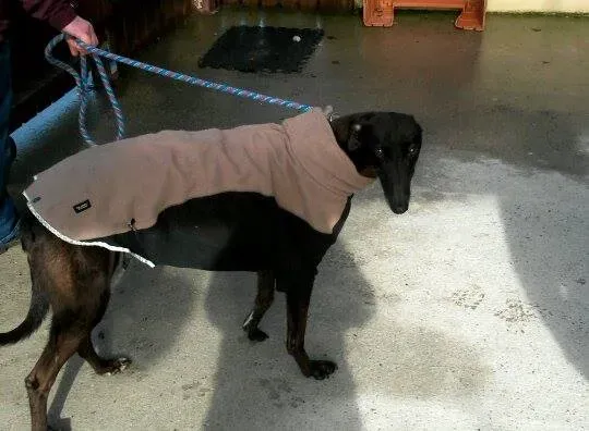 11007439 10204803749751396 2069072953 n