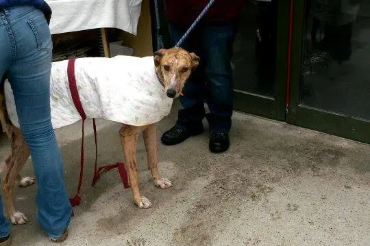 11007506 10204803891194932 1687654357 n