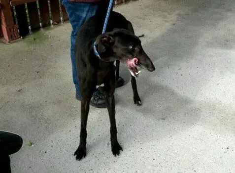 11007539 10204803769551891 156895026 n