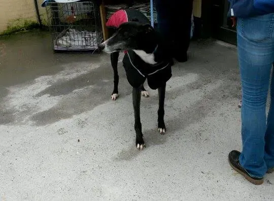 11007561 10204803729510890 455237481 n