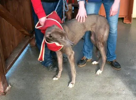 11007608 10204803667269334 1031688568 n