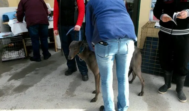 11007612 10204803626108305 1315122855 n