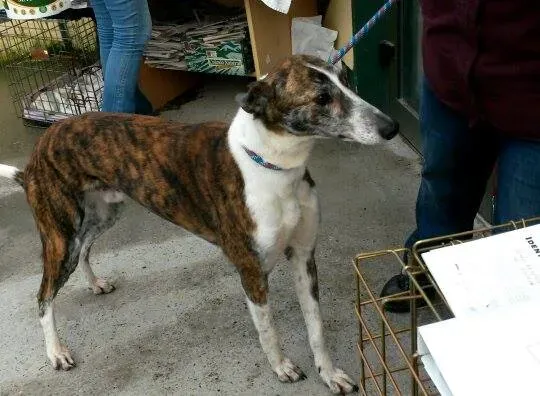 11007621 10204803745871299 983130583 n