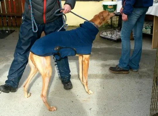 11007652 10204803770391912 201408624 n