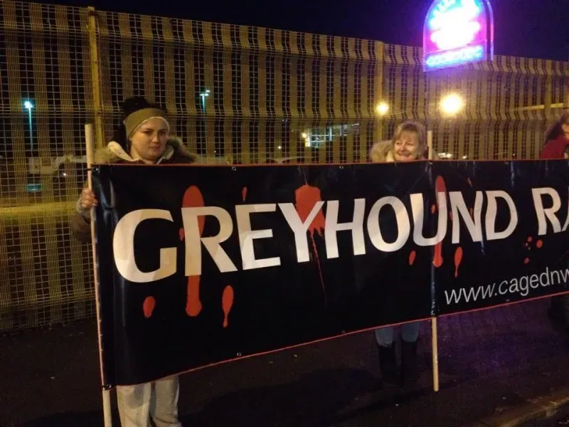 11008053 904520139592799 4882705972952603266 n