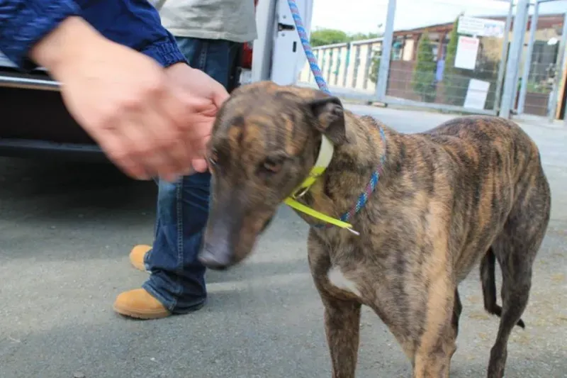 11008506 1014946875189678 8204785008452989323 n