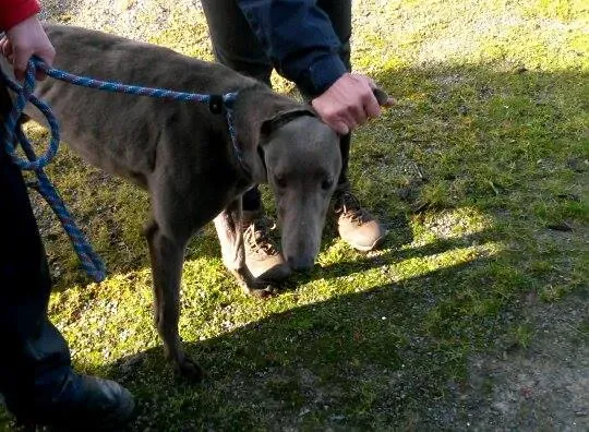 11008842 10204803623308235 316650071 n