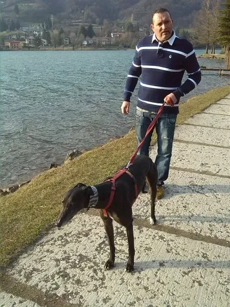 11008845 789849974416988 1209695603 n