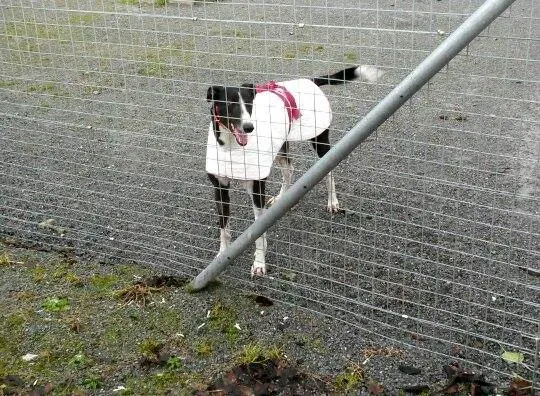 11008859 10204802933530991 1111859341 n1