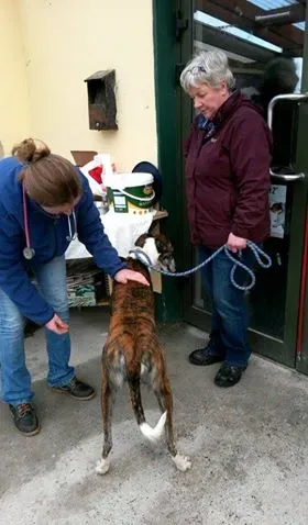 11008877 10204803744831273 2026611495 n