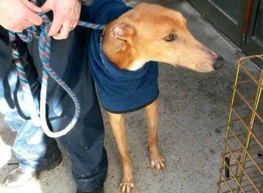 11008898 10204803759431638 955557416 n