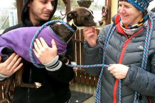 11008954 10204803974997027 1189410244 n