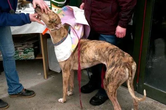 11008981 10204803890634918 628720092 n