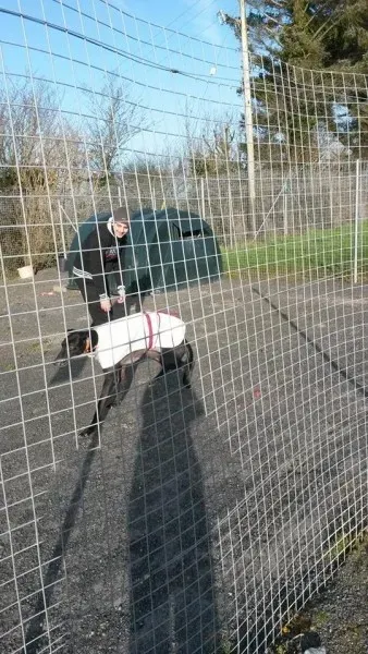 11008983 10204802980892175 475107714 n1