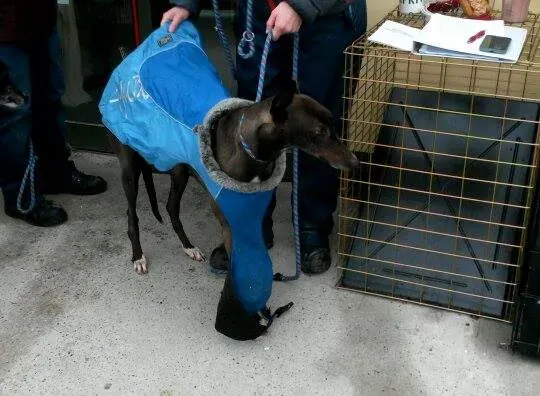 11008995 10204803733991002 598784236 n