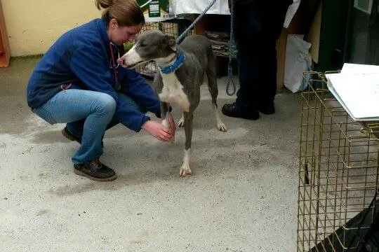 11009003 10204803844553766 1712034468 n