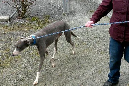 11009004 10204803978837123 1294729486 n