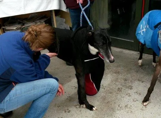 11009048 10204803724350761 1962301767 n