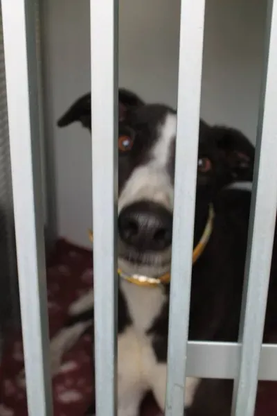 11009156 1014949438522755 176934073022515459 n