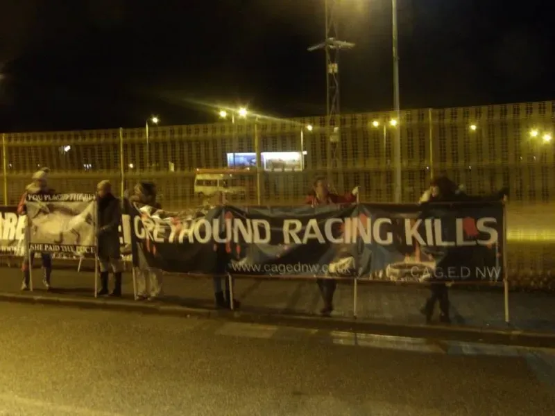 11009168 904663506245129 5504782833611030116 n