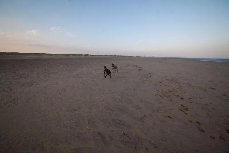 11009894 847701835313673 2118592532887589043 n