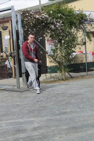 11010980 1014947381856294 882755436090489192 n