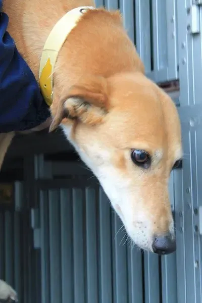 11012112 1014948875189478 7866251273786732896 n