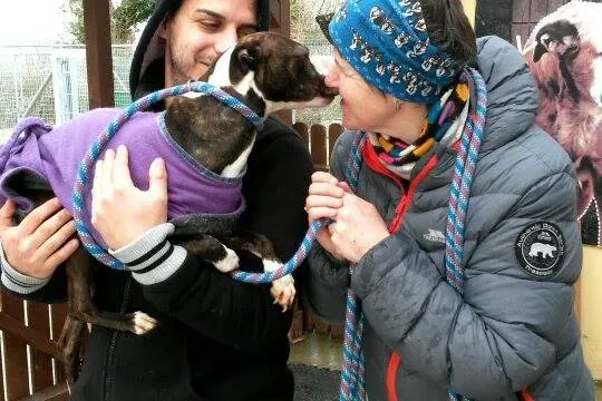 11012248 10204803779992152 2095568999 n