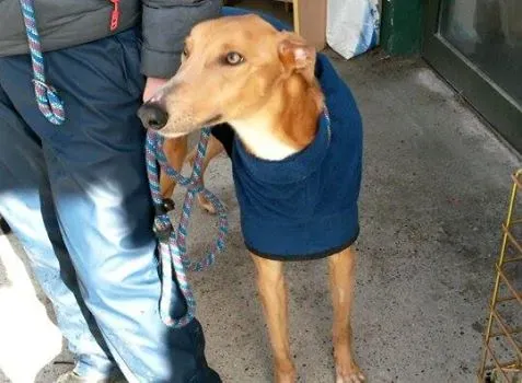 11012270 10204803762631718 261114993 n