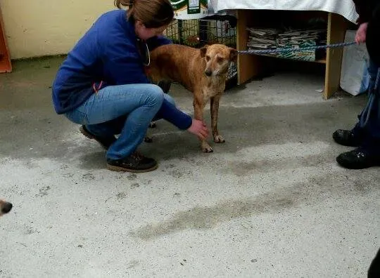 11012284 10204803857514090 215114582 n