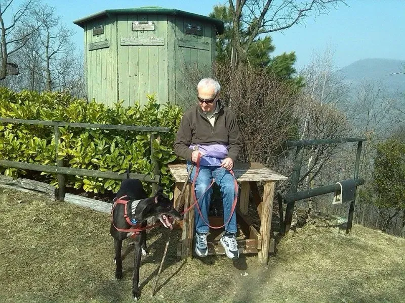 11012287 790671971001455 708789901 n