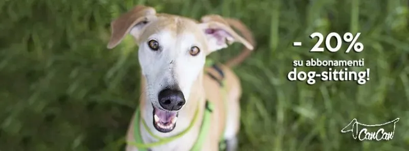 11012777 1585916741666361 6709928942366874357 n