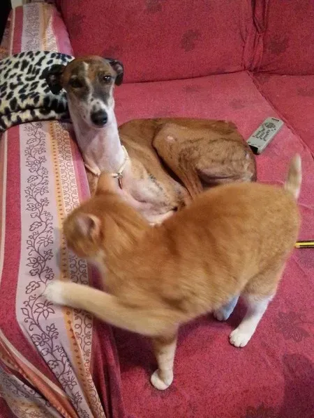 11012788 783759601707897 5565380683424064336 n