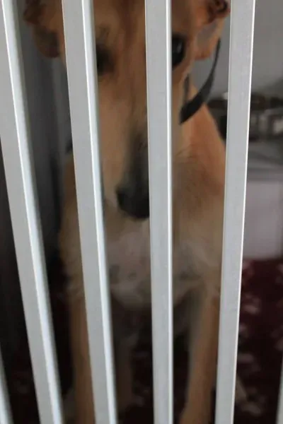 11013126 1014949198522779 5186420433694464187 n