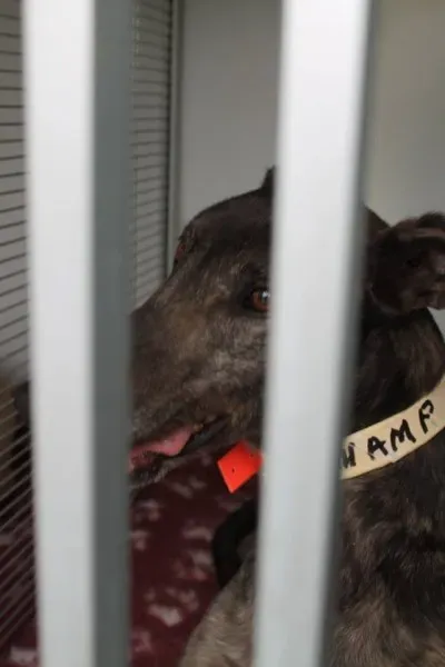 11013126 1014949431856089 251944917396267851 n