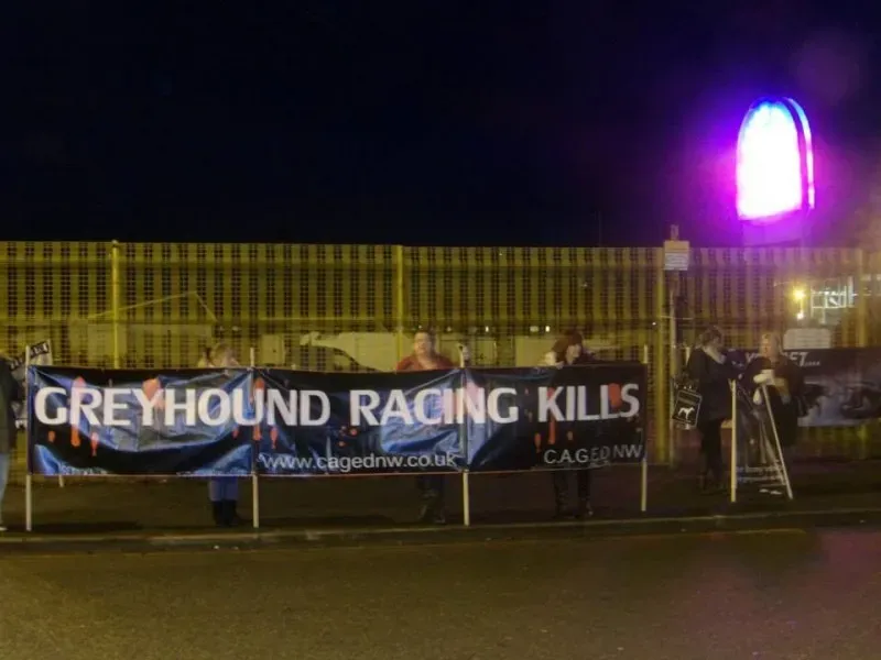 11013548 904662402911906 7327106151332781110 n