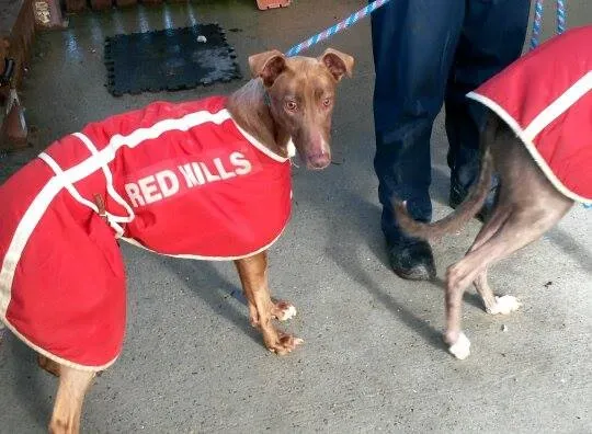 11014717 10204803661029178 2052796850 n