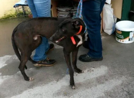 11014804 10204803646268809 521528387 n