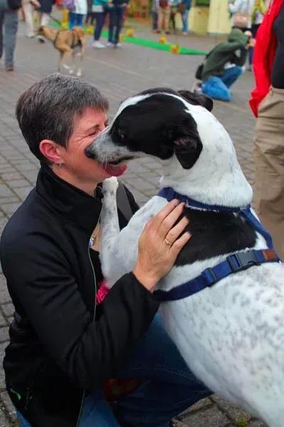 11014809 856511731099350 510164246296220458 n