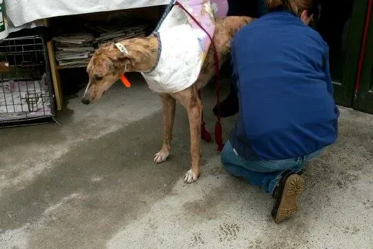 11015135 10204803890914925 1088422197 n