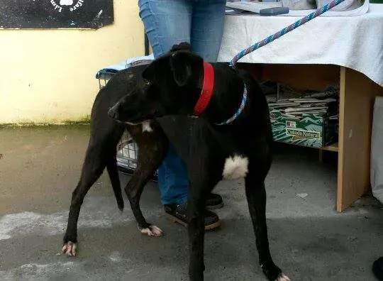 11015187 10204803653748996 317450193 n