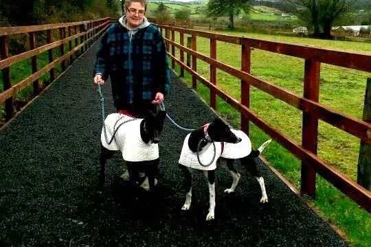 11015380 10204810183352232 2048290019 n