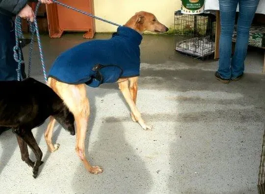 11015744 10204803770631918 763078964 n