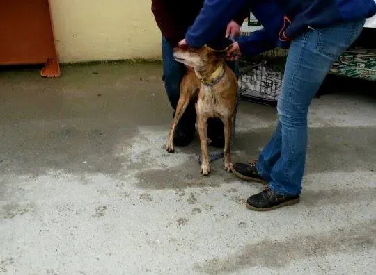 11015797 10204803852313960 143602434 n