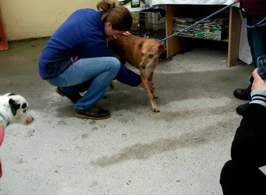 11015822 10204803890314910 1396945482 n