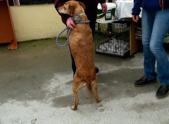 11015897 10204803845033778 1135185314 n