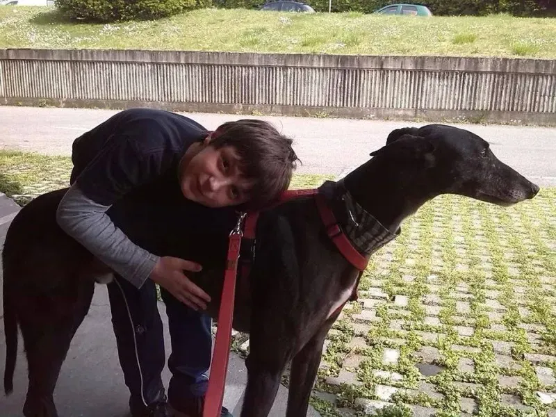 11015913 10202842877873237 9192118616870060335 n