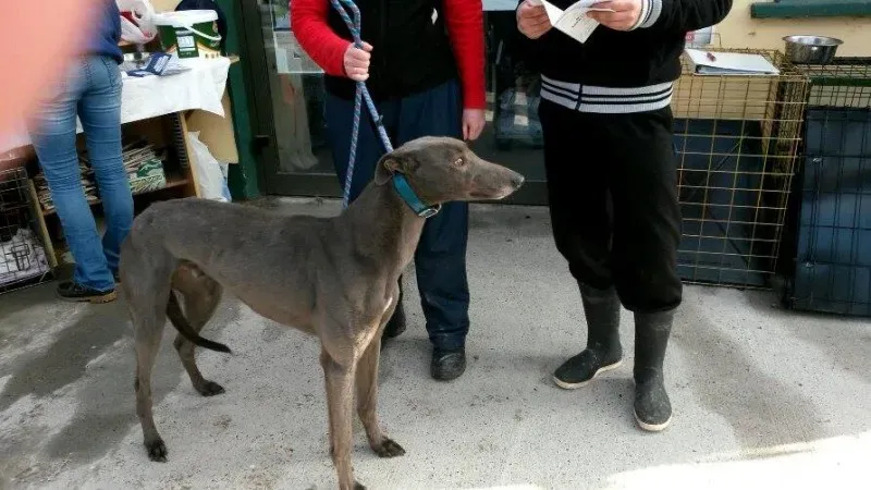 11016480 10204803628788372 721615863 n