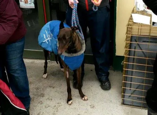 11016562 10204803724990777 316773975 n